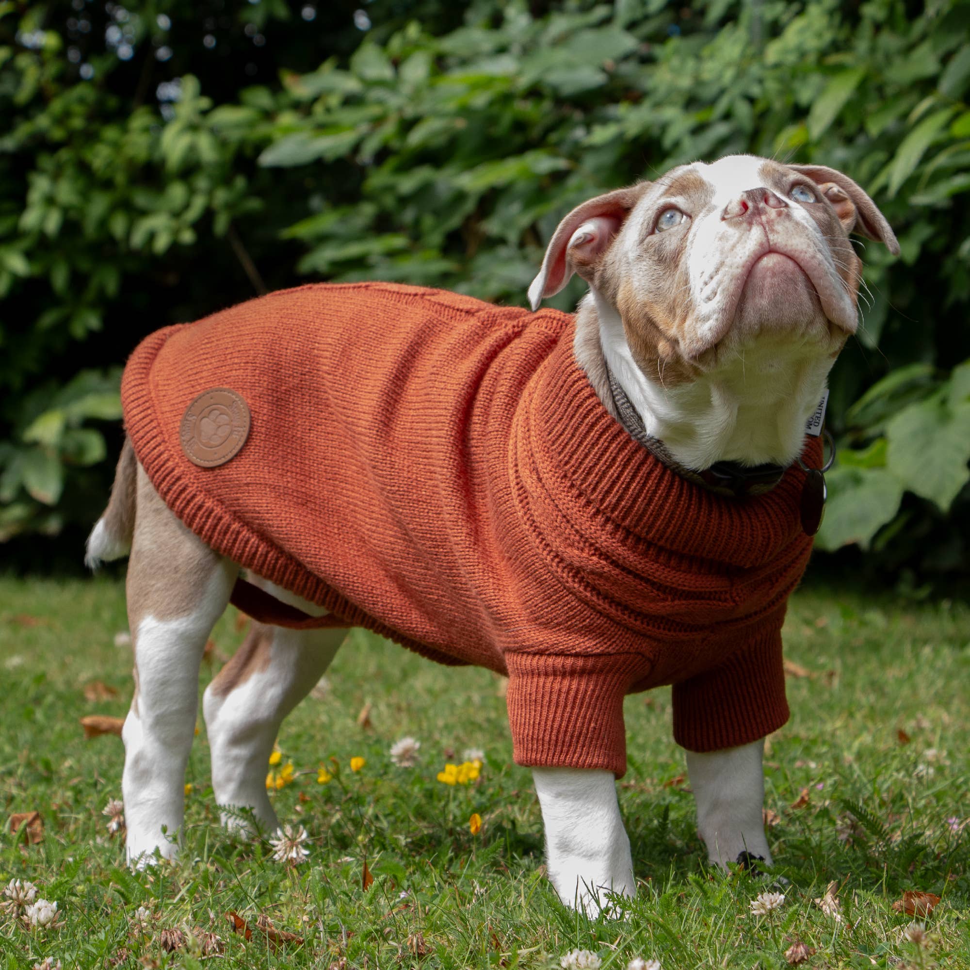Ancol Pet Products Ltd – wholesale Pet jumper – Dog – Snug Cable Knit Jumper Terracotta  ( 4 sizes available)  4