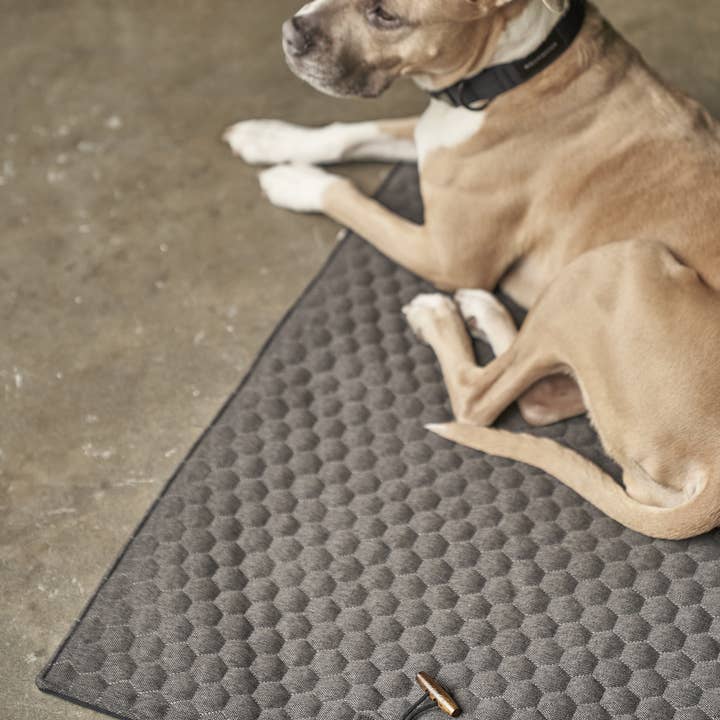 Tapis de voyage pour chien Honeycomb - Gris pour la vente par Molly and Stitch