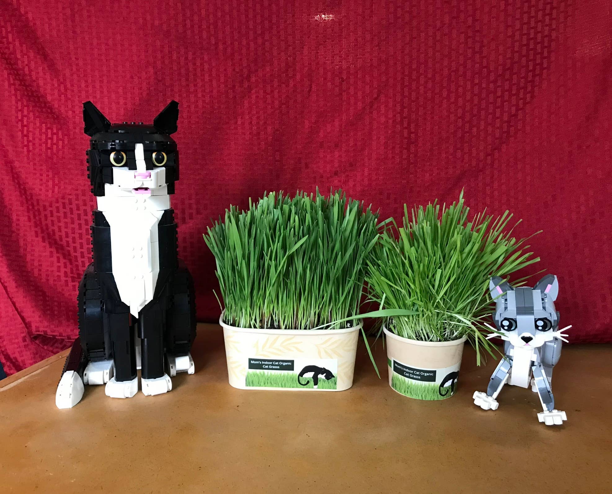 Mom’s Indoor Cat - Wholesale Pet Food - Cat - Compostable Cat Grass Combo Pack - Organic Cat Grass  Kits1