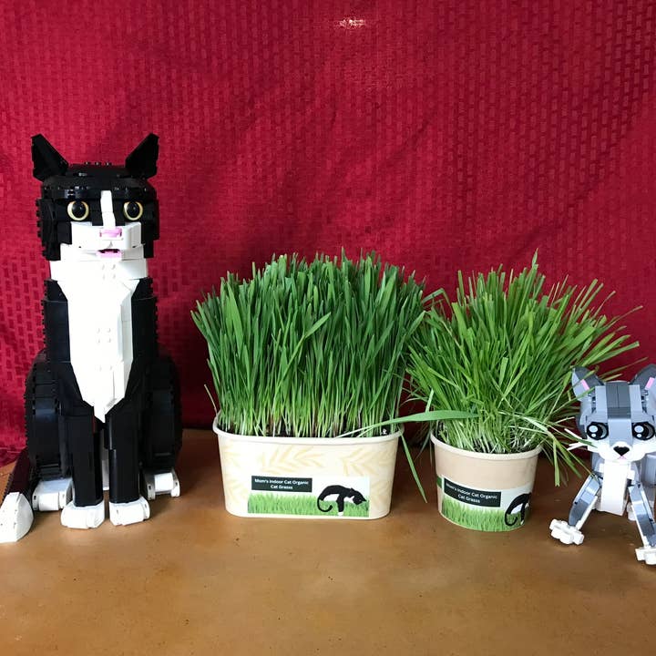 Mom’s Indoor Cat - Wholesale Pet Food - Cat - Compostable Cat Grass Combo Pack - Organic Cat Grass Kits1