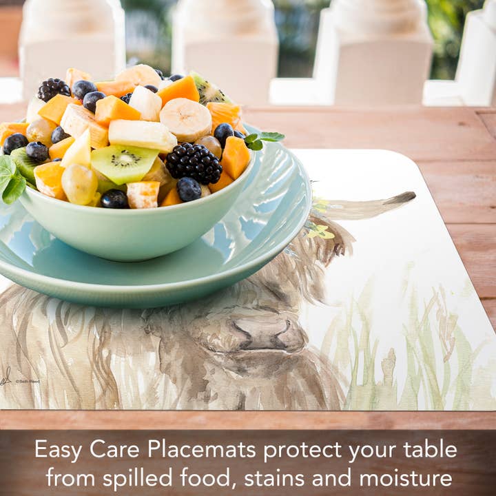 CounterArt/Highland Home/Thirstystone – Individuais por atacado – Placemat Reversível Retangular de Plástico “Home On The Range”1