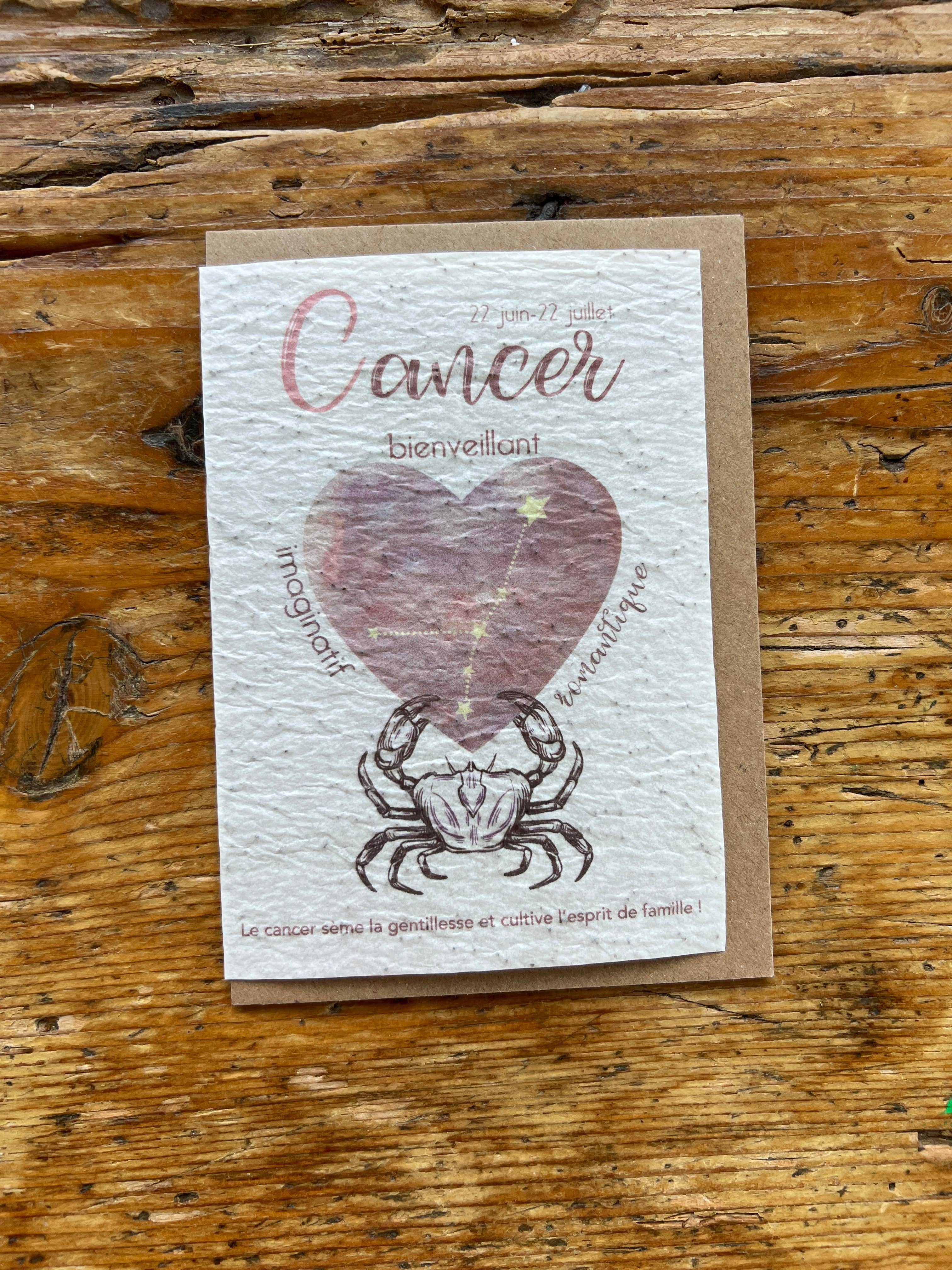 Les cartes de Lulu - Wholesale Everyday Greeting Card - Seeded map Astrological zodiac sign4