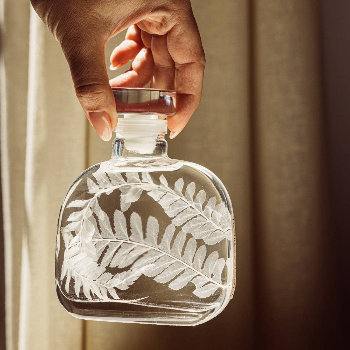 Theophile Berthon - Wholesale Live Plant - The Herbarium Capsule - White Leather Fern - Submerged Plant9