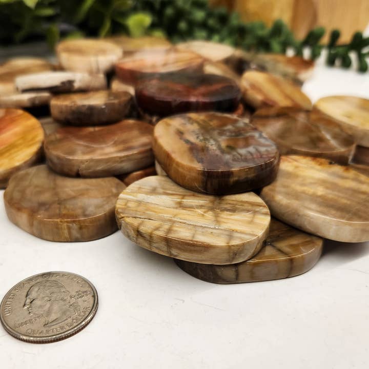 Meraki Gemstones - Venta al por mayor Piedras/cristales espirituales - Piedras planas lisas de madera petrificada (0,5 kg / 1,1 lbs) - 45x35x7 mm1