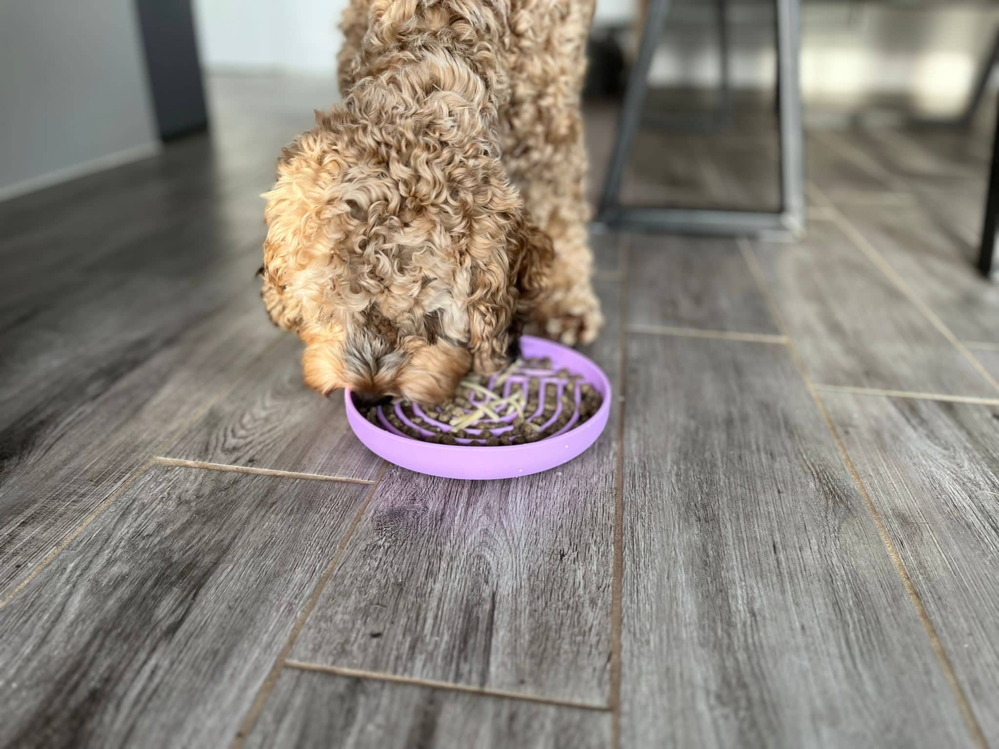 Parallax Plastics LTD - Wholesale Pet Bowl - Cat/Dog - Stylish, slow feeding "Hide & Lick" pet bowl for cats & dogs9