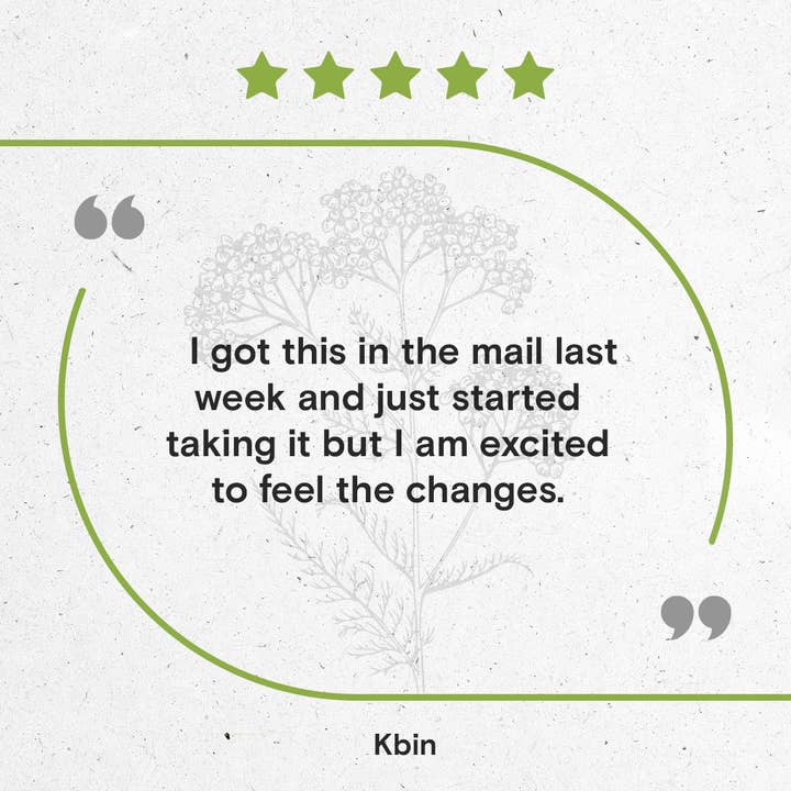 Secrets Of The Tribe - Wholesale Tincture - Yarrow Tincture10