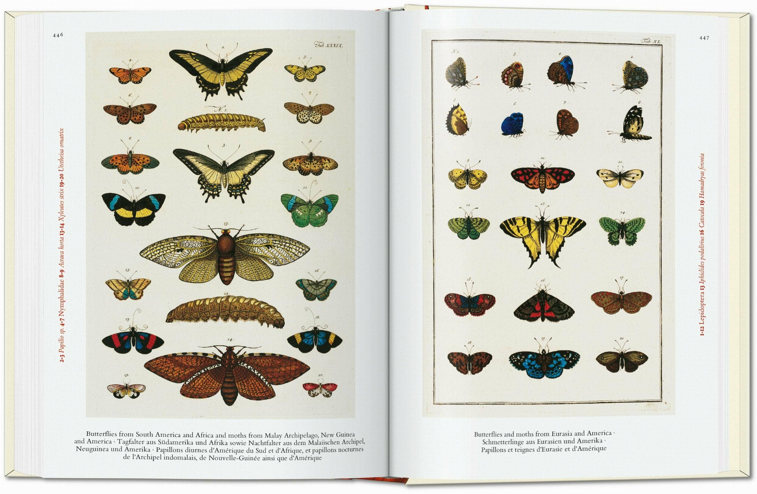 TASCHEN America - Wholesale Nature & Outdoors - Seba. Cabinet of Natural Curiosities. 40th Ed. (German, French, English)6