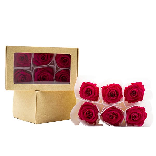 Concari.flores Preservadas - Wholesale Artificial Flowers - SPLENDID ROSE PRESERVED IN VARIOUS SHADES2