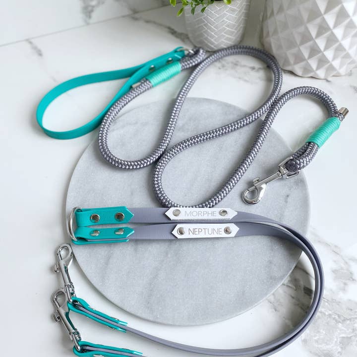 My Pawchella - Venta al por mayor Correa - Perros - Biothano/divisor de correas de colores3