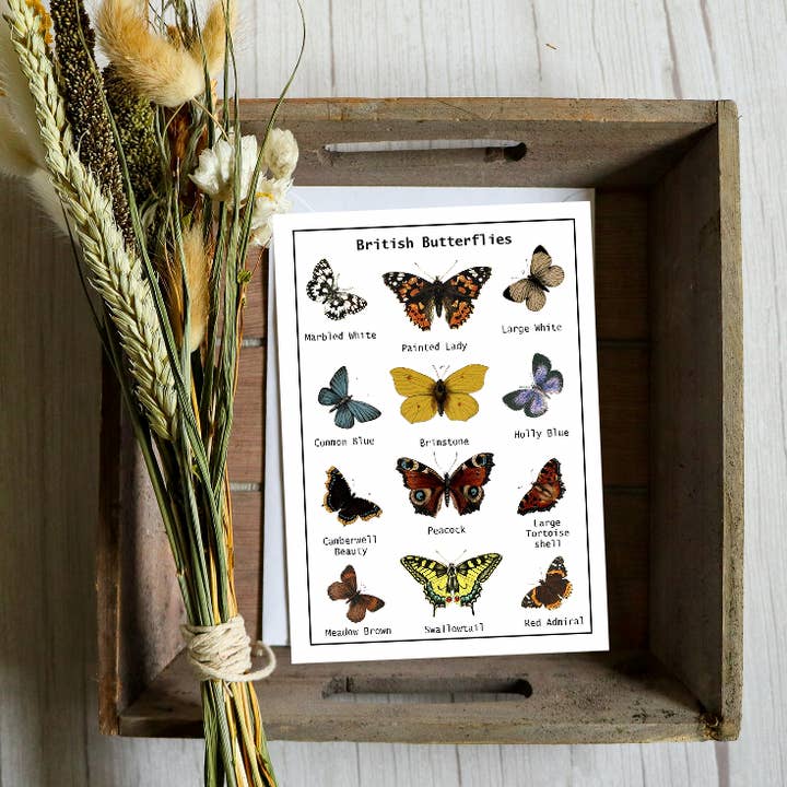 British Butterflies Seed Card - Wildflowers For Butterflies for wholesale by Seeds with Love