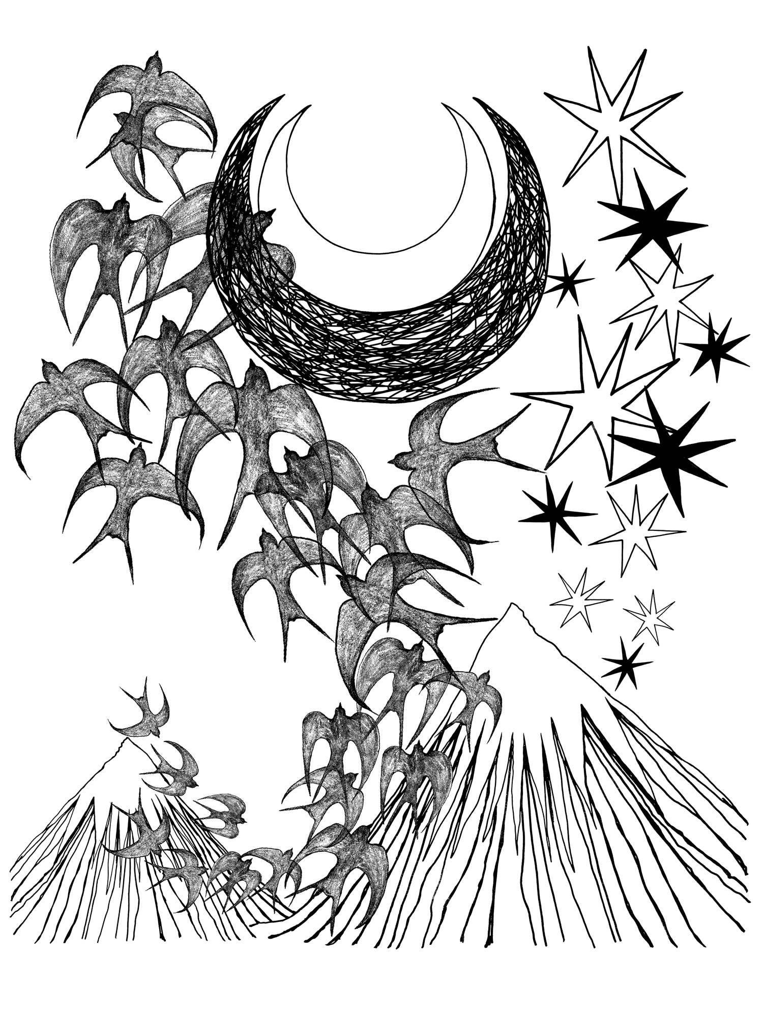 Supermaggie @ Faire - Wholesale Screen Printed T-Shirt - Women's - Night Flight Lauren Heavyweight Long Sleeve Crop Tee4