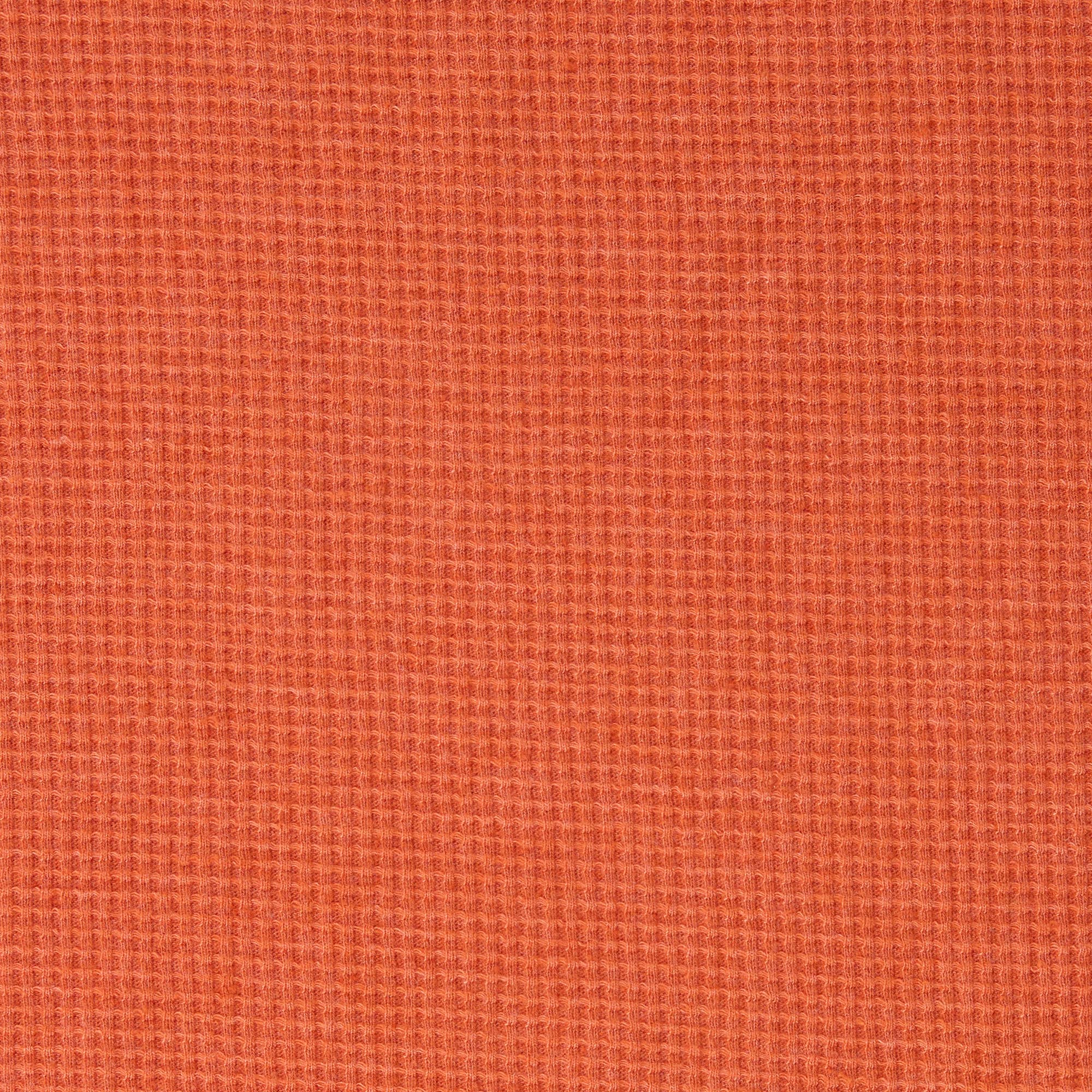 Toad&Co - Wholesale Knit Top - Women's - Foothill Long Sleeve Crew II F2513