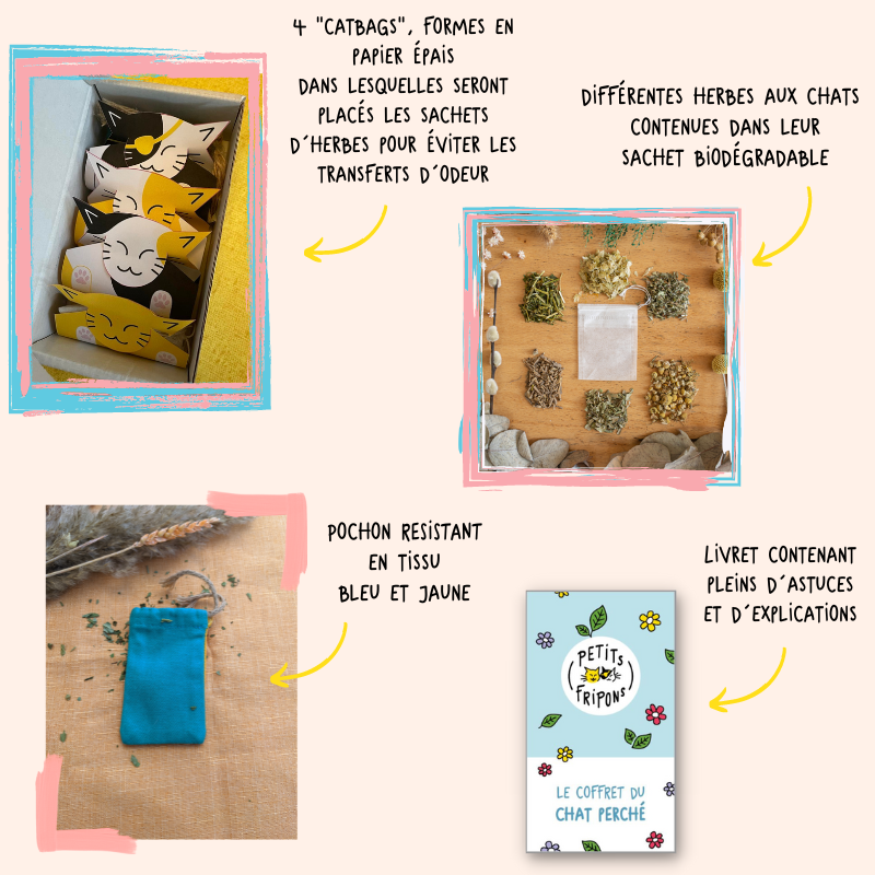 Petits Fripons - Wholesale Pet Toy - Cat - Cat herb discovery set3