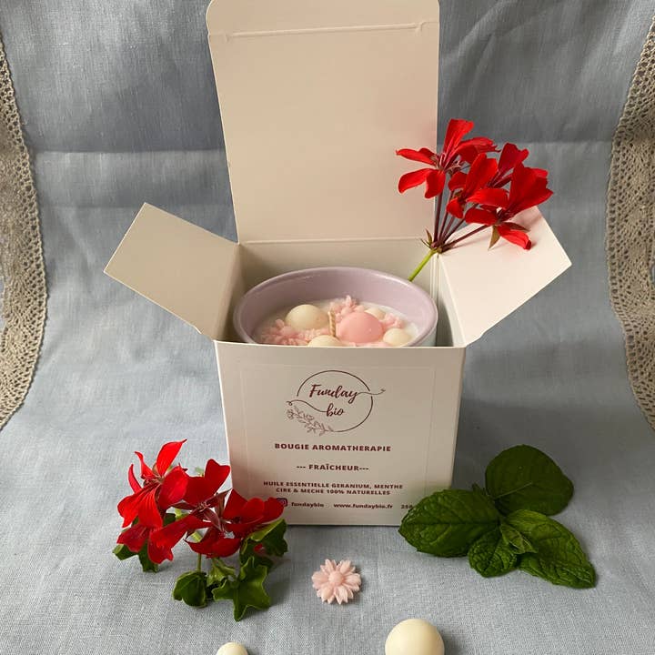 FUNDAYBIO - Wholesale Jar/Filled Candle - Freshness candle with organic essential oils 250g2