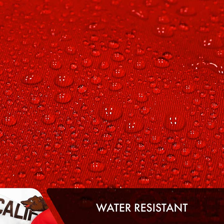 G128 - Wholesale Flag - California CA State Flag 4x6 Ft Double Sided Embr 210D Poly5