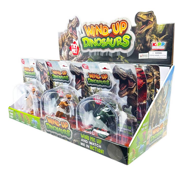 Novelty Brands - Wholesale Wind-Up Toy - Kids - So Much Fun! Wind-Up Dinosaur Toys - 12 Piece Display