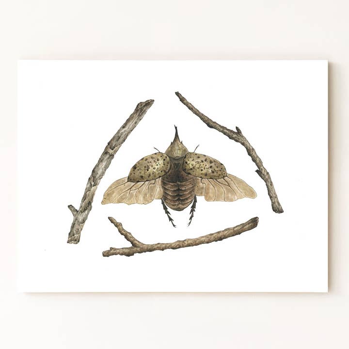 Hercules Beetle Print för wholesale av Jess Vartanian Illustration & Design