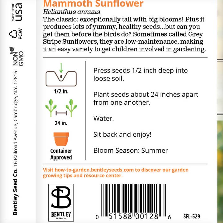 Bentley Seed Co. - Wholesale Plant Seeds - Sunflower, Mammoth Seed3