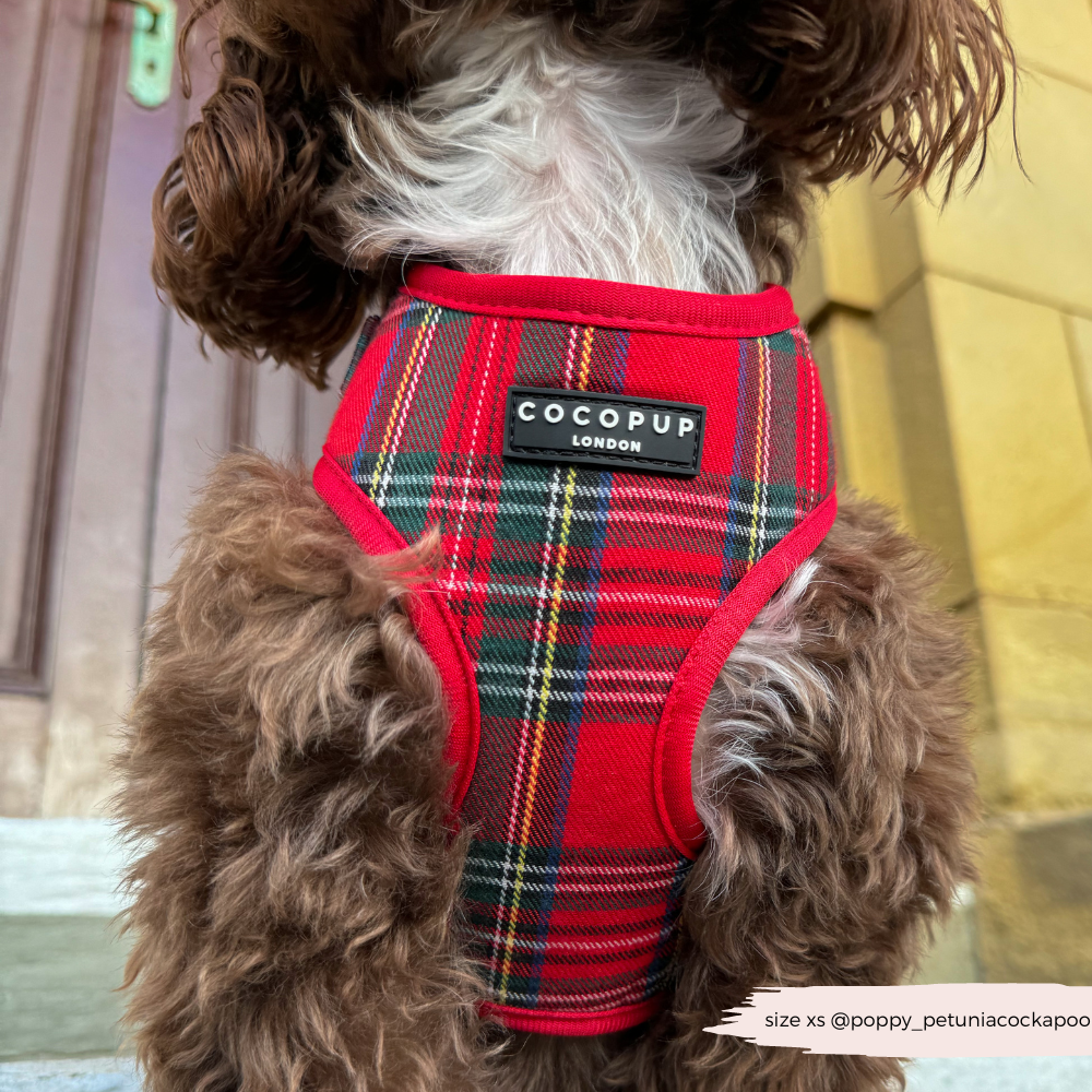 Cocopup London - Wholesale Tuig voor huisdieren - Hond - Tartan Verstelbaar NekHARNAS12