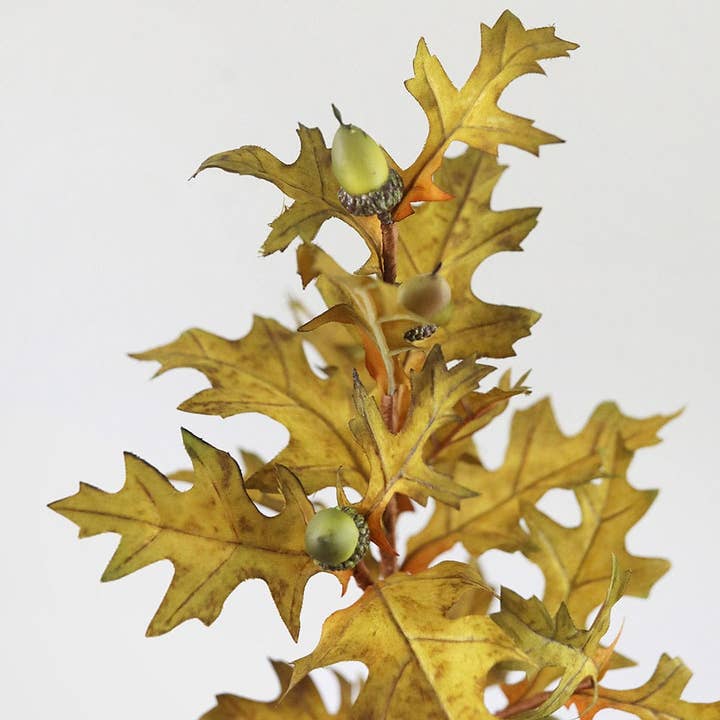 Prestige Botanicals - Vente Plantes artificielles - Feuilles de chêne artificielles avec glands, 28 pouces2