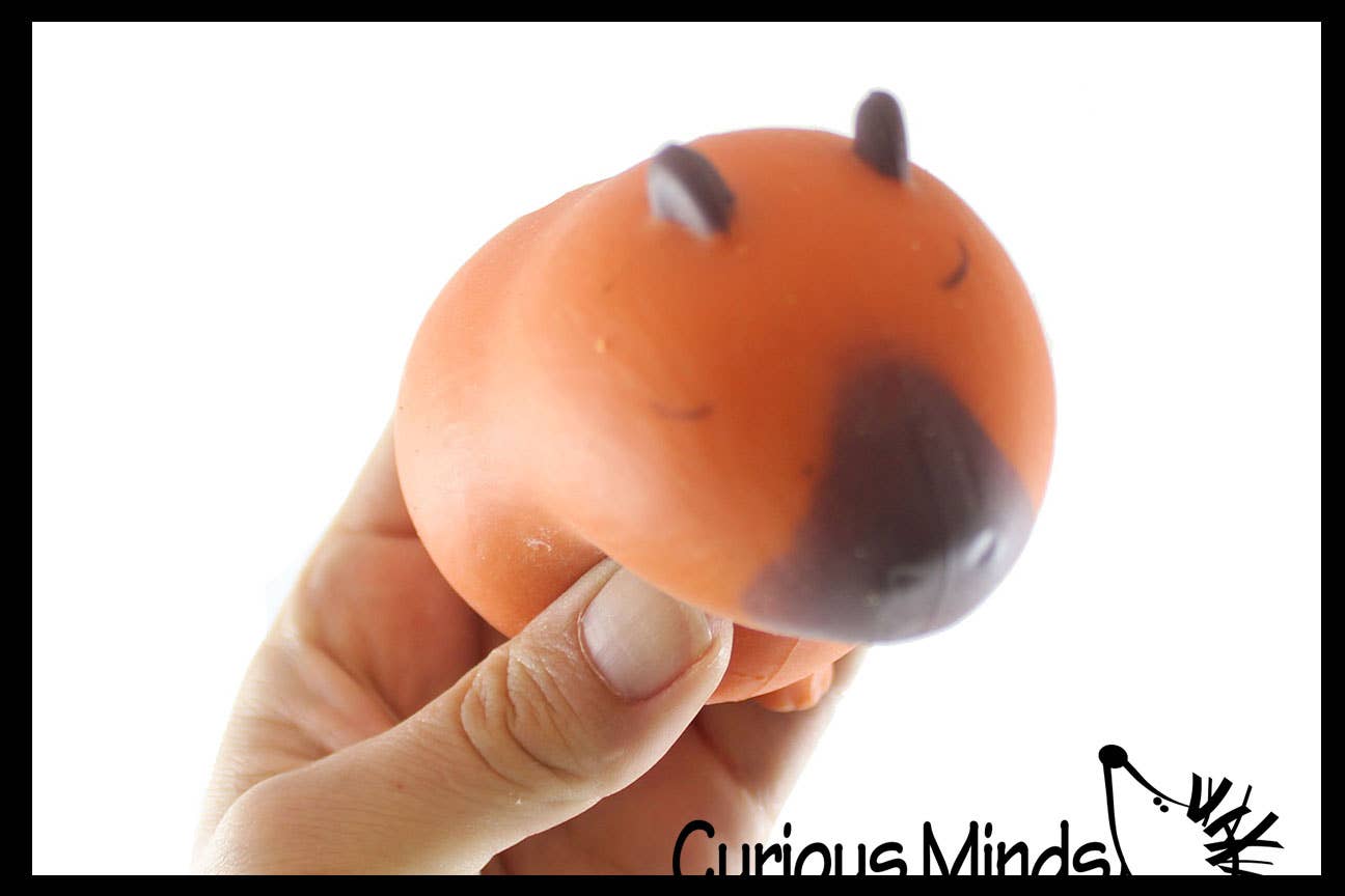 Curious Minds Toys - Wholesale Squishy Toy - Kids & Baby - 1 Capybara Squishy Squeeze Stress Ball Soft Doh Filling - L8