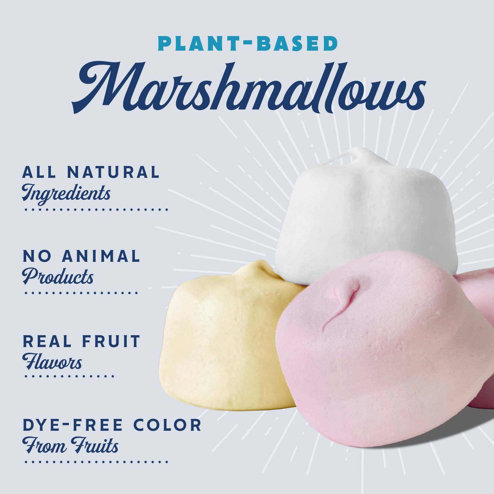 Snackatere - Wholesale Marshmallow - Vegan Vanilla Marshmallows Kosher Gluten Free Dairy Free1