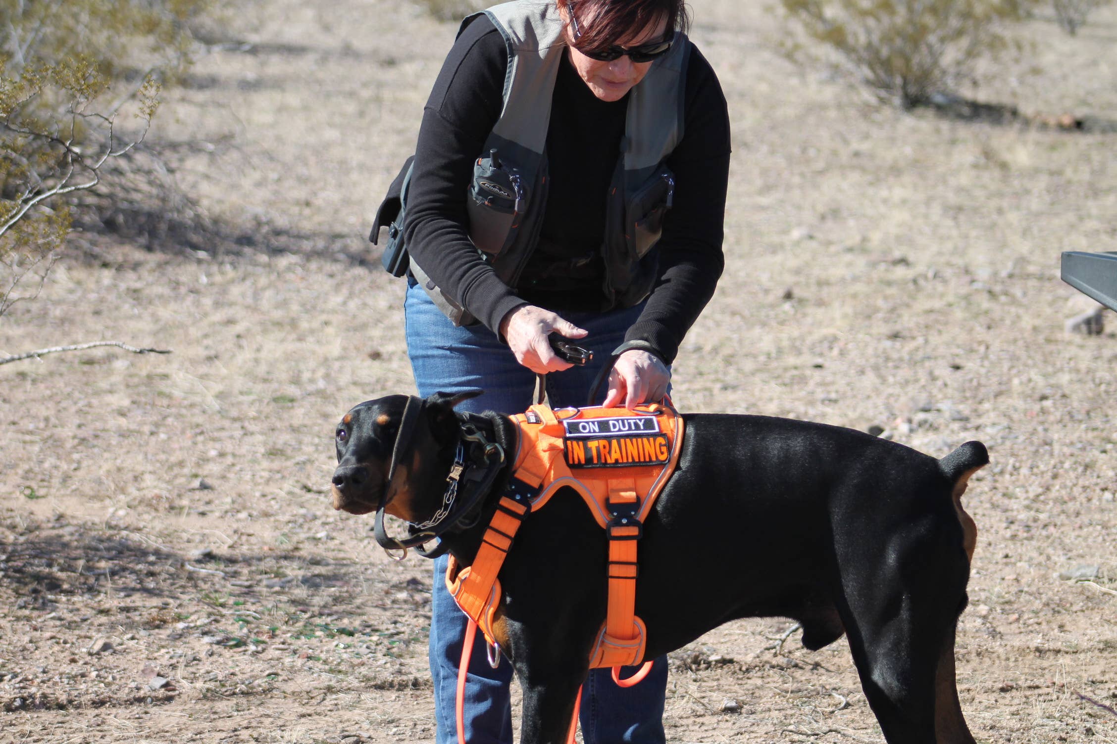 BOSS DOG BRAND, INC. - Wholesale Pet Harness - Dog - Boss Dog Harness53