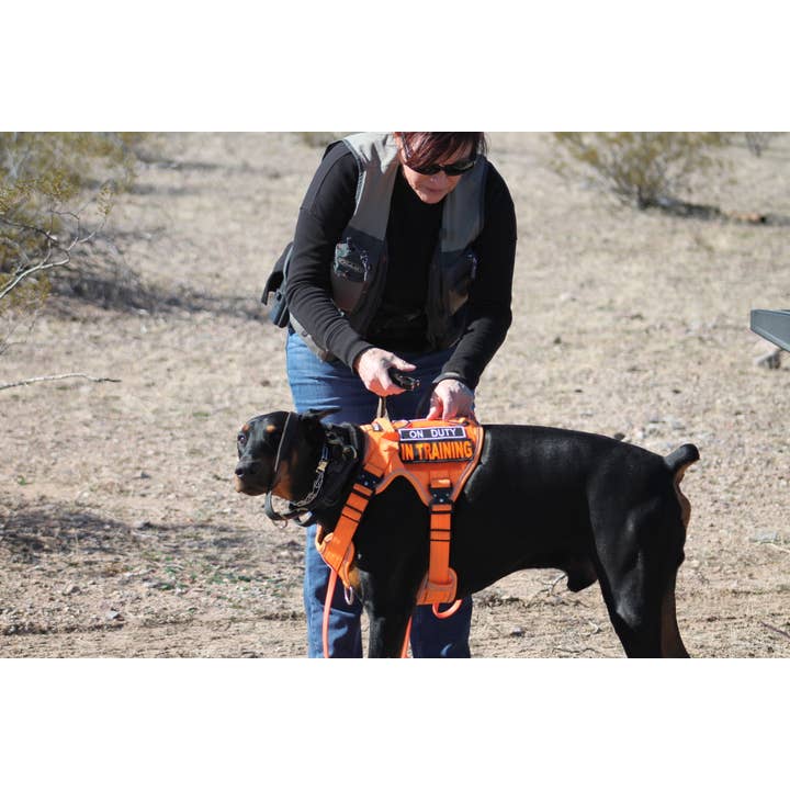 BOSS DOG BRAND, INC. - Wholesale Pet Harness - Dog - Boss Dog Harness53