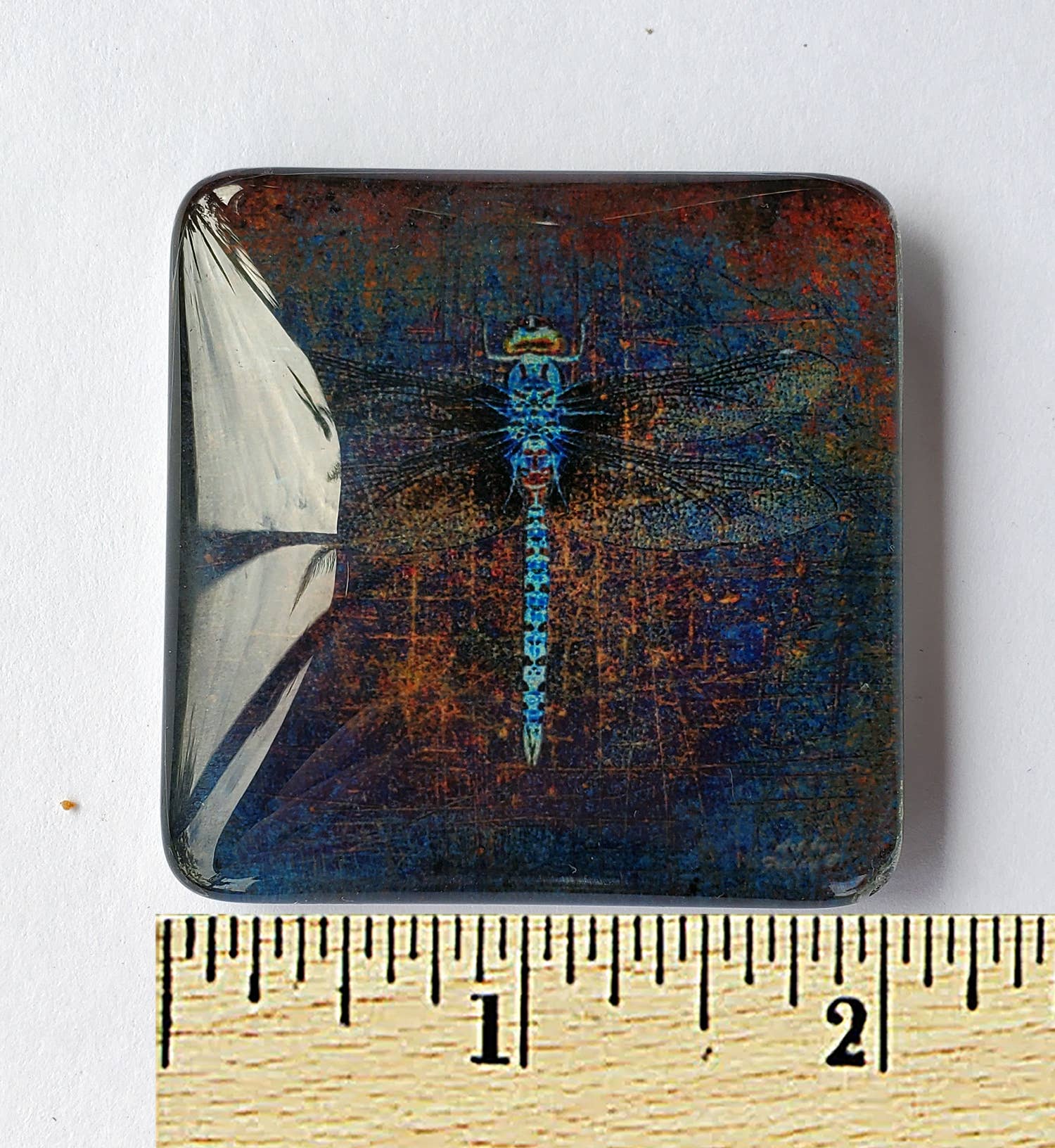 Art by Freddy B. - Wholesale Magnet - Set of 6 Acrylic Glass Magnets, The Dragonfly Collection2