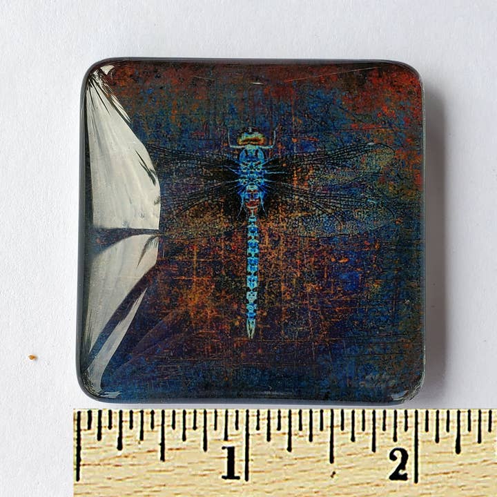 Art by Freddy B. - Wholesale Magnet - Set of 6 Acrylic Glass Magnets, The Dragonfly Collection2