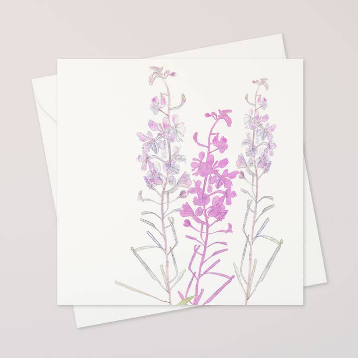 willowherb gratulationskort för wholesale av katiebirdie