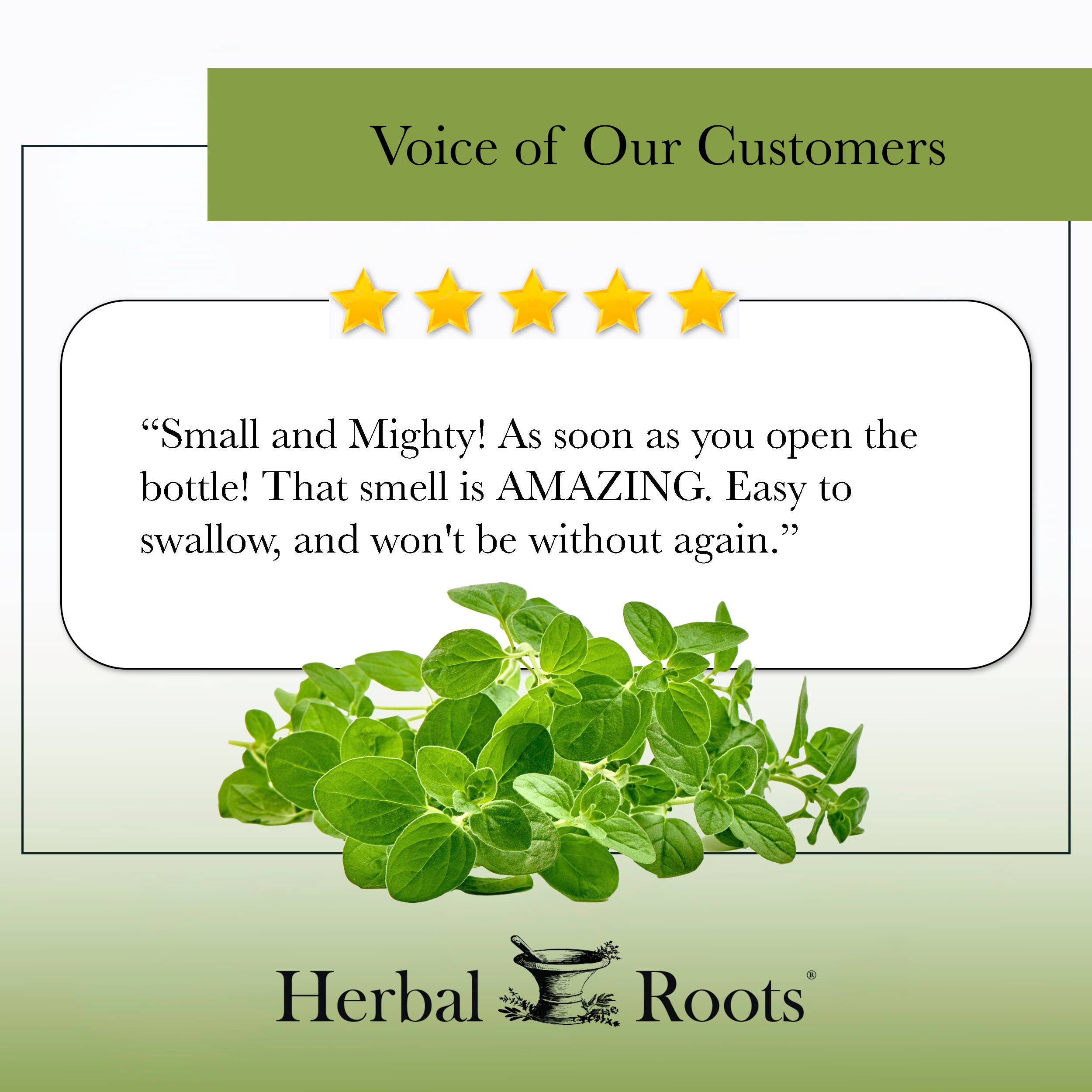 Herbal Roots - Wholesale Oral Supplement/Vitamin - Herbal Roots Oil of Oregano Capsules6