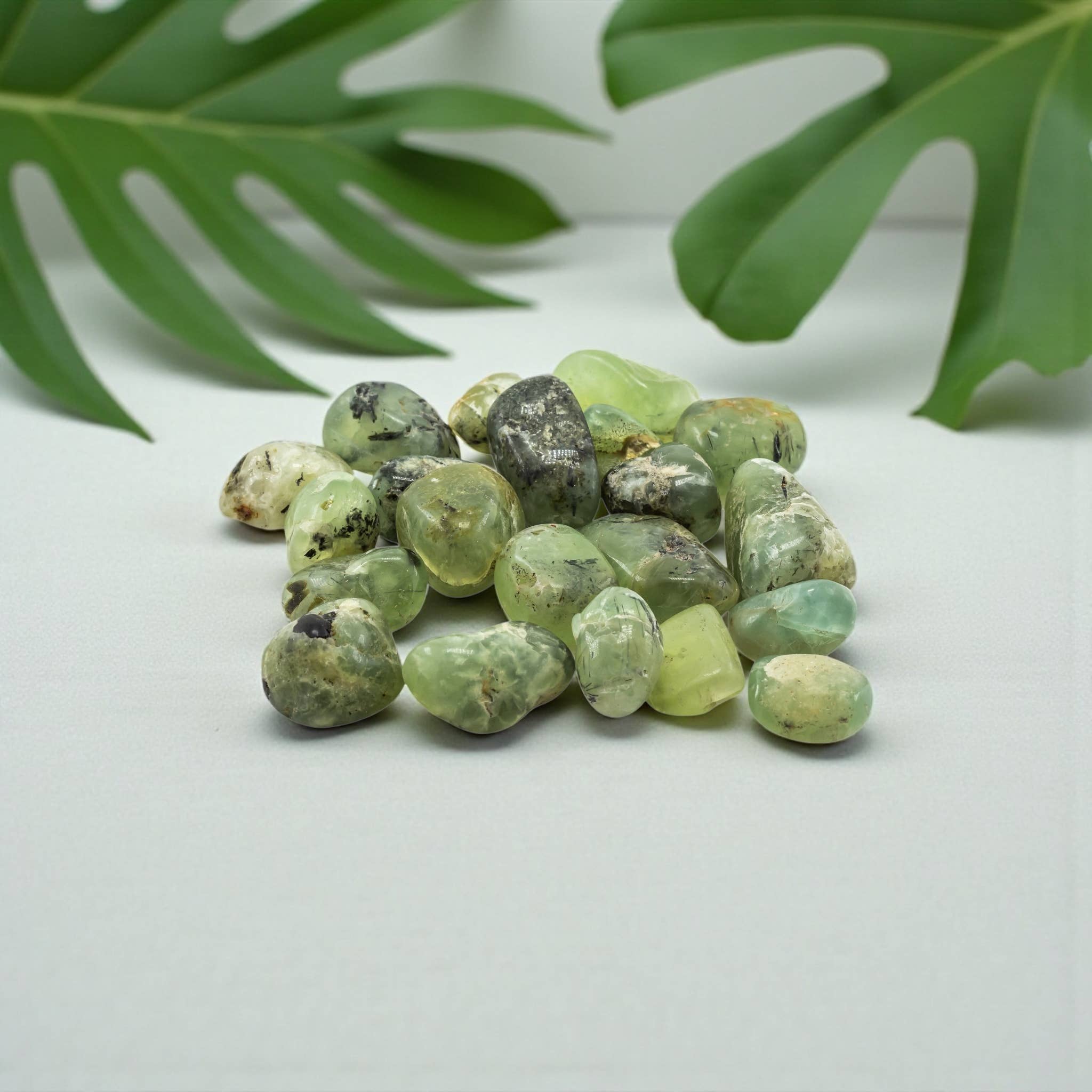 Quasar Gems USA - Wholesale Spiritual Stone/Crystal - Prehnite Tumbled 20-30mm 1KG/2.20Lbs2