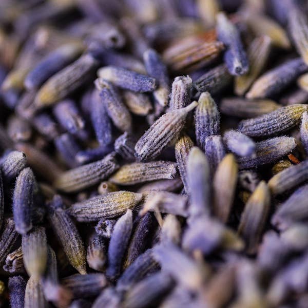 LE COMPTOIR D'HERBORISTERIE - Wholesale Health/Detox Tea - LAVANDIN INFUSION ORGANIC FLOWER FRANCE 50G1