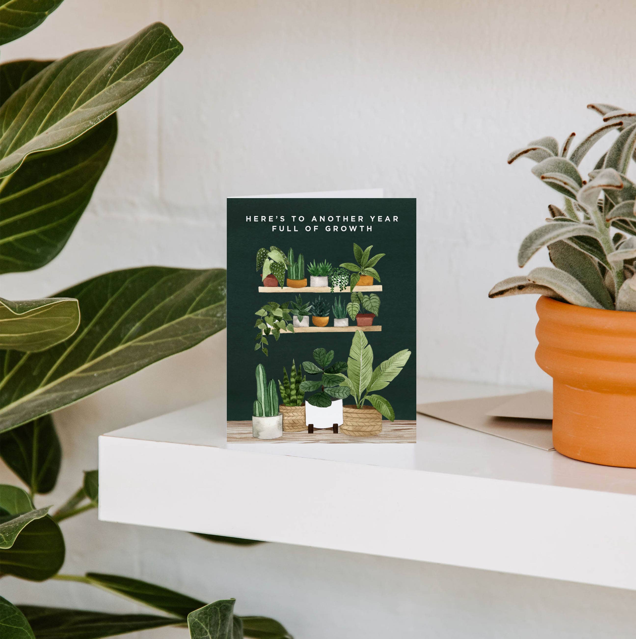 Paper Anchor Co. - Wholesale Birthday Card - Full of Growth Birthday Greeting Card | Plant + Floral Cards1