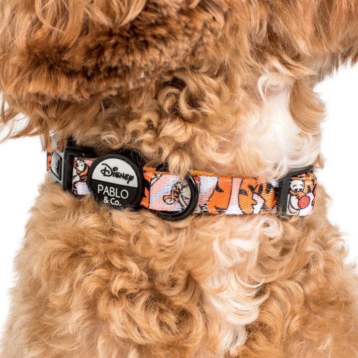 Pablo & Co. Boutique - Wholesale Pet collar – Dog - The One of a Kind Tigger: Dog Collar1