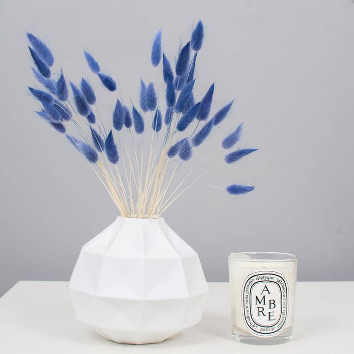 Bunny Tails Blu per la vendita all'ingrosso da parte di pampas studio uk