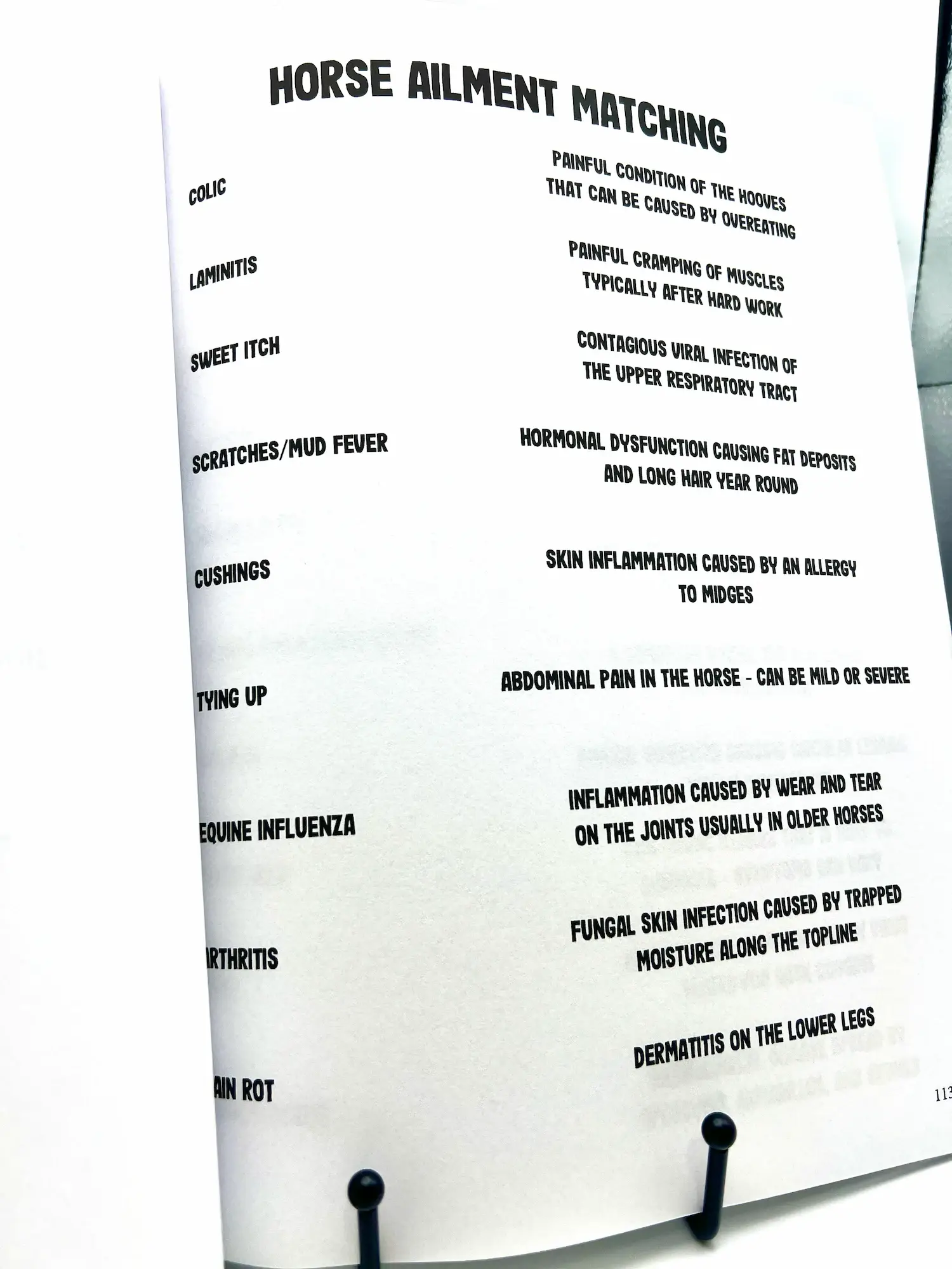 Circus Unicorn Shop - Wholesale Book - Kids - Horse Workbook Vol. II9