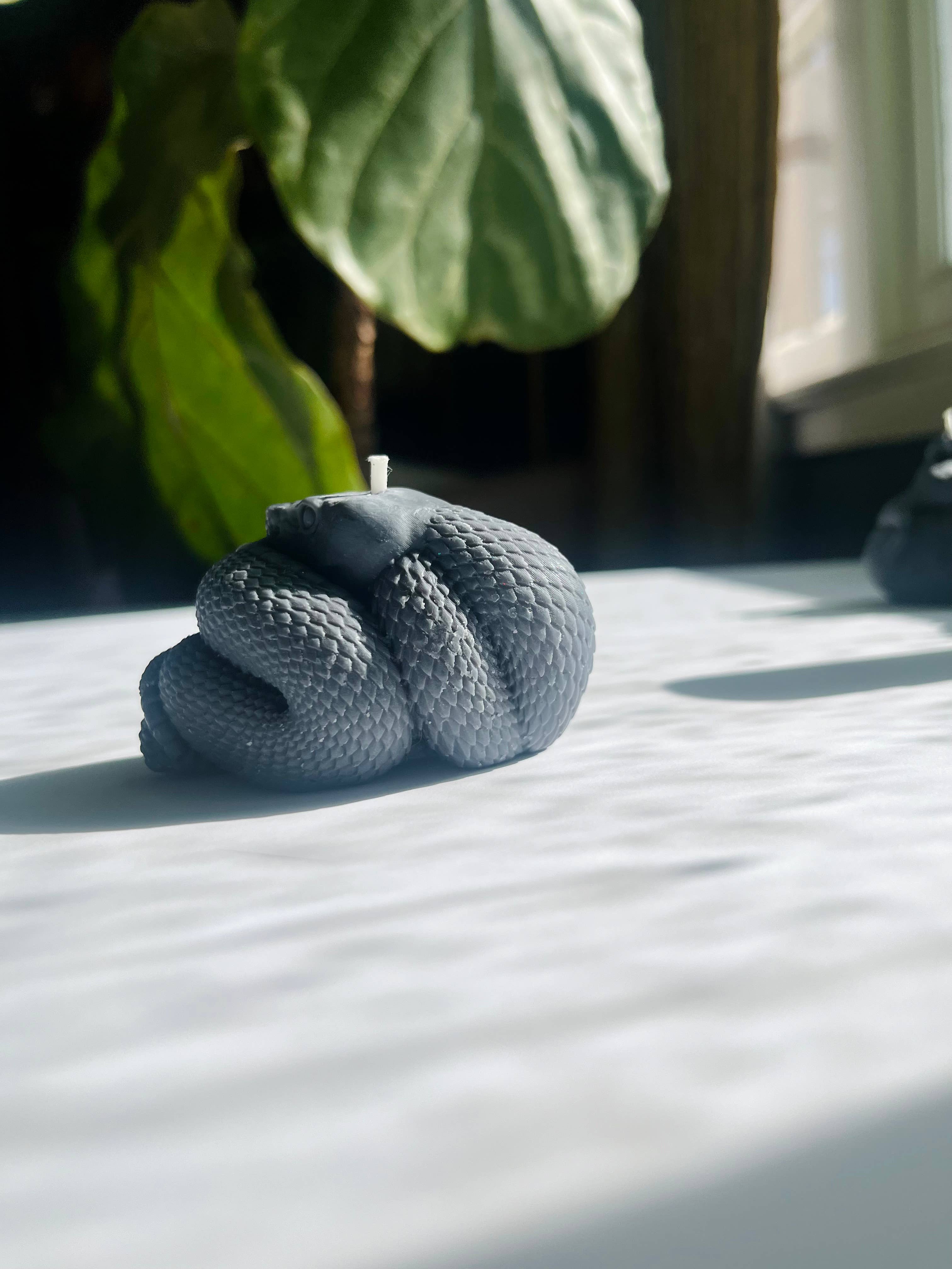 Beauty and the Moon - Wholesale Pillar Candle - Black Snake Candle | Witch Candle | Snake Art | Beeswax Soy 5