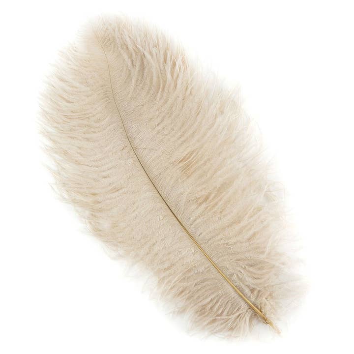 Plumes d'autruche 13-16" Drabs - Beige pour la vente par Zucker Feather Products