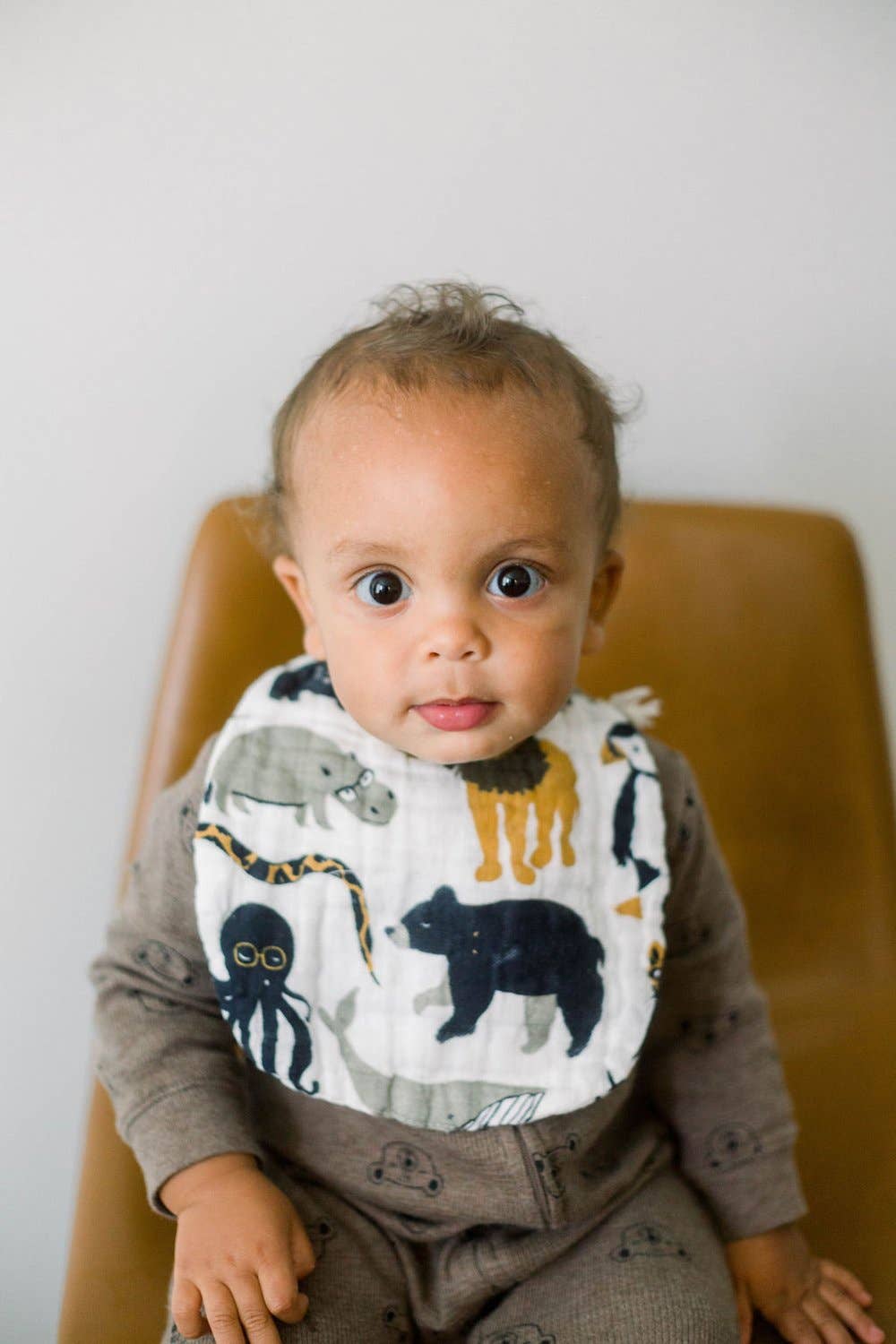 Clementine Kids - Wholesale Bib - Baby - Zoology and Specs Bib Pack6