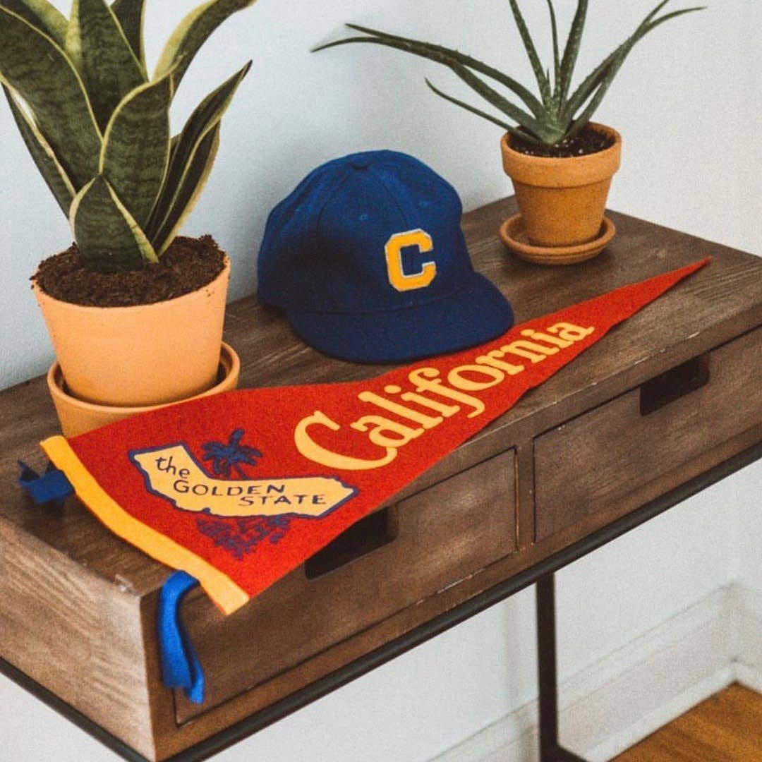 Oxford Pennant - Vendita all'ingrosso Bandiere - Gagliardetto della California1