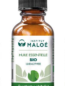 Ätherisches Bio-Eukalyptus-Globulus-Öl, 30 ml für den Großhandel von Institut Maloé