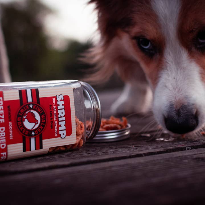 IGSM LTD – wholesale Pet treats – Dog – KIWI Walker Dog Treats - Freeze Dried Fish5