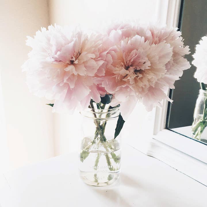 Peonies in Pink // Texas for wholesale by Alison Holcomb Creative