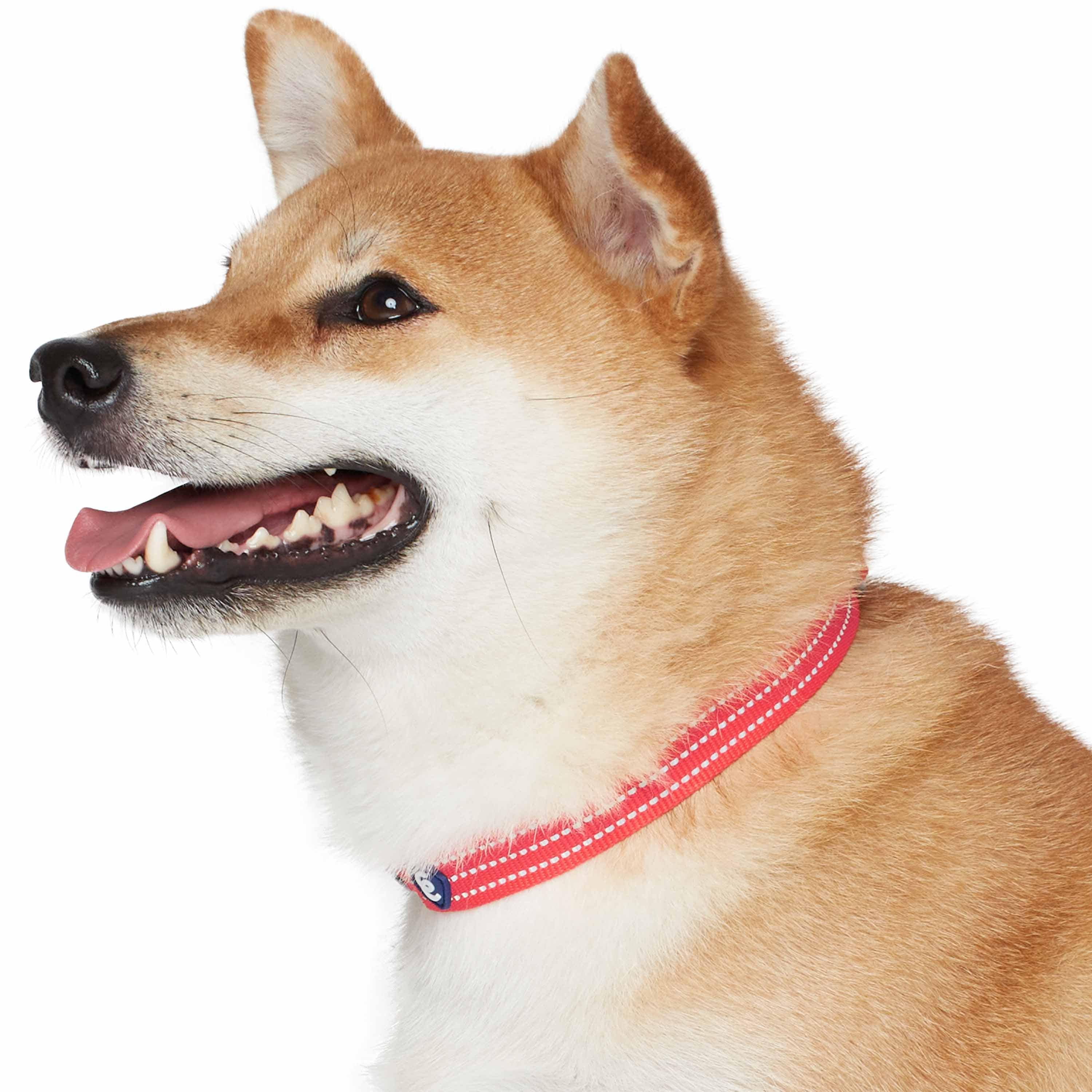 Blueberry Pet - Venta al por mayor Collar - Perros - Collar reflectante para perros Better Basic en 8 colores3