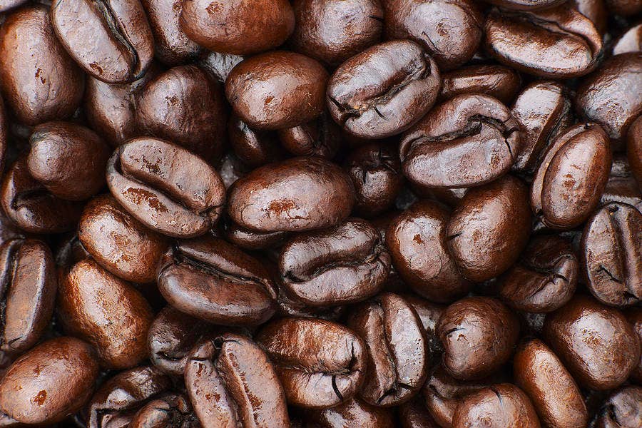 Sea Moss Organics LLC - Vente Café moulu - Café aux champignons biologique certifié8