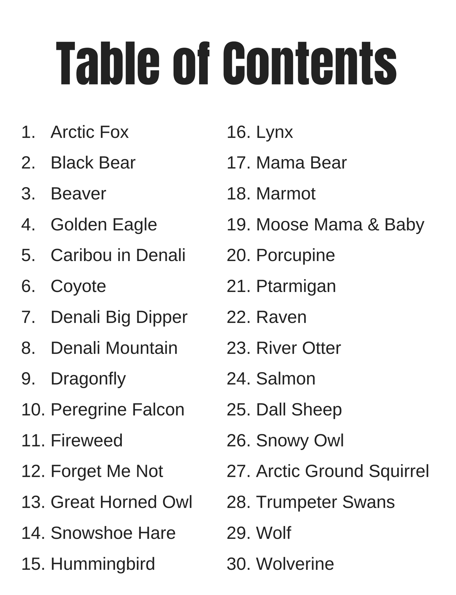 Alaska Wild & Free - Wholesale Coloring & Activity Book - Adult - Denali National Park Coloring Book2