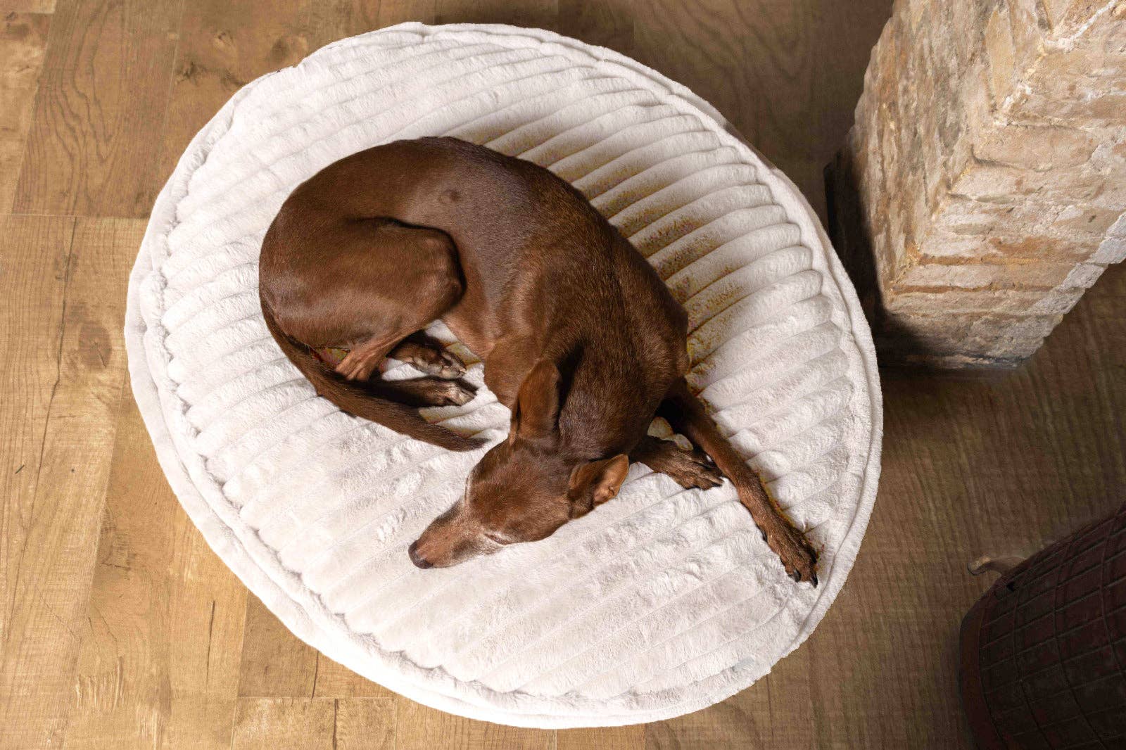 ammi for Dogs - Vente Panier – chien - Coussin pour chien Cama - intérieur en liège et extérieur en tissu douillet11