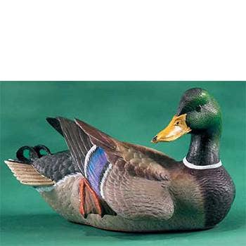 Decoy Mallard en édition limitée pour la vente par Natures Window